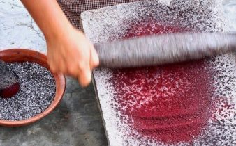 Cochineal Extract