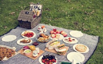Vegan picnic