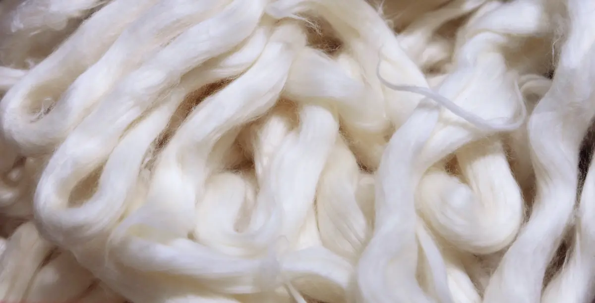 Is Silk Vegan? Exploring the Vegan and CrueltyFree Options